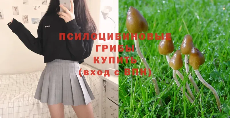 Псилоцибиновые грибы Magic Shrooms  Бронницы 